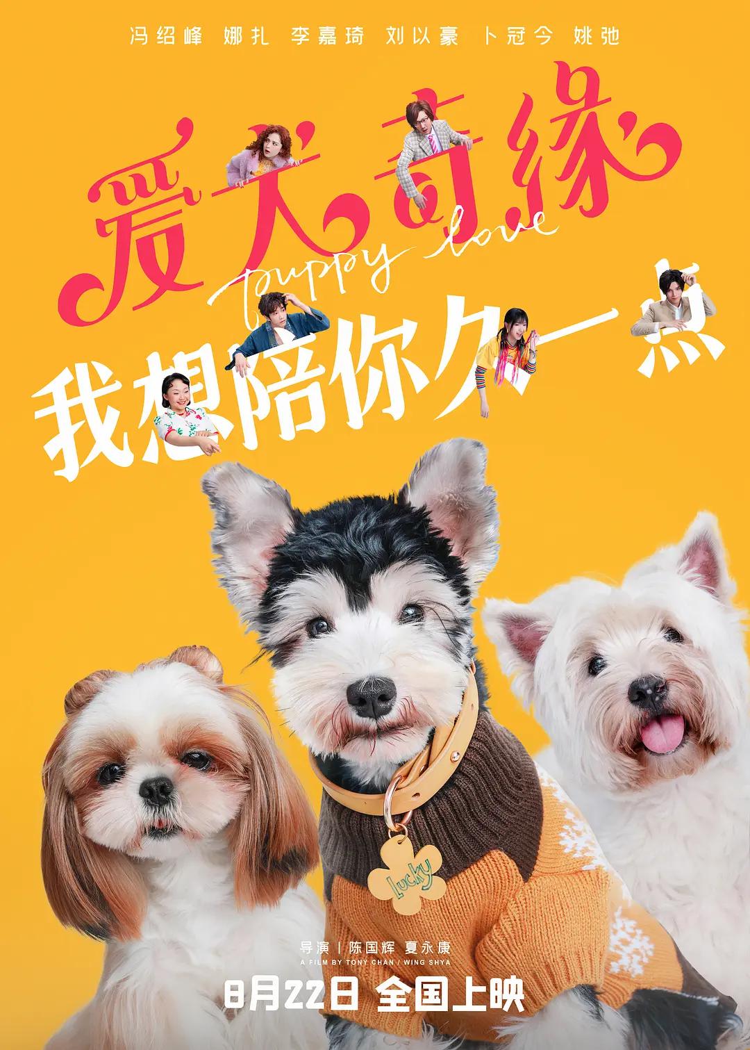 夜栋病勤1-12(⏸)
