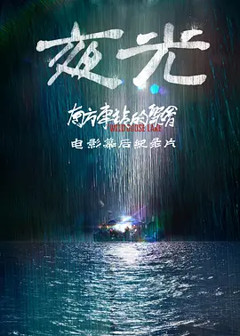夜光2019