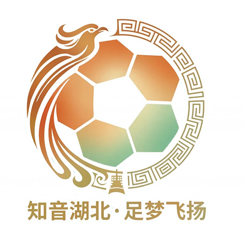 湖北省城市足球联赛 鄂州临空队VS孝感孝傲江湖队20260530